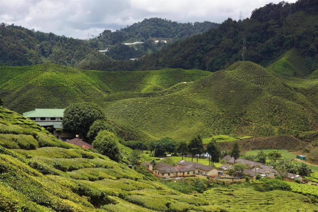 Krs Pines Hotel Cameron Highlands Esterno foto