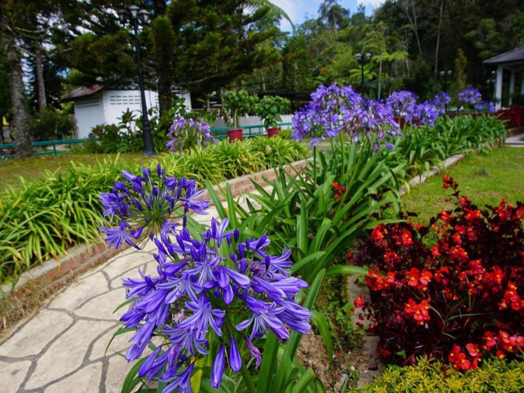 Krs Pines Hotel Cameron Highlands Esterno foto
