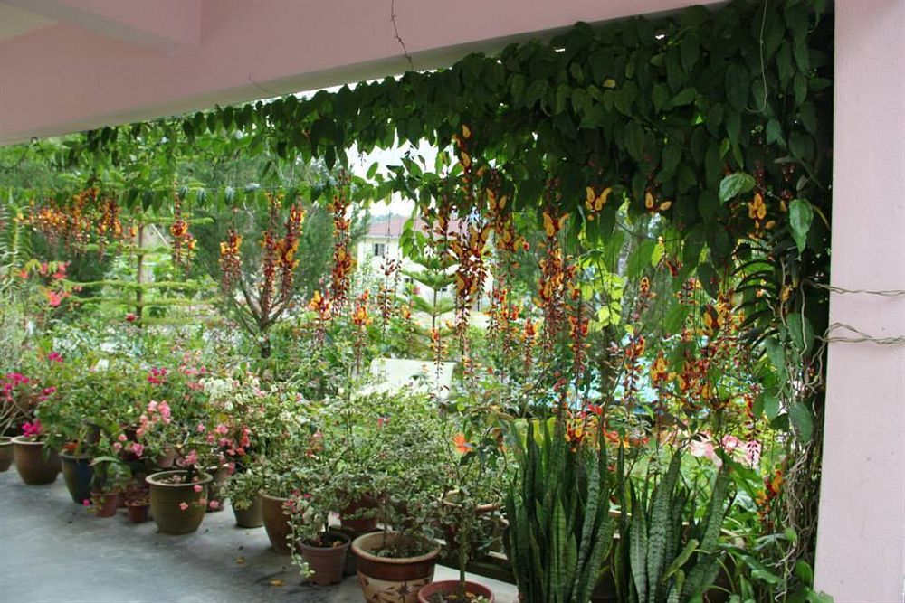 Krs Pines Hotel Cameron Highlands Esterno foto